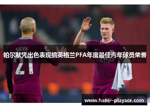 帕尔默凭出色表现摘英格兰PFA年度最佳青年球员荣誉